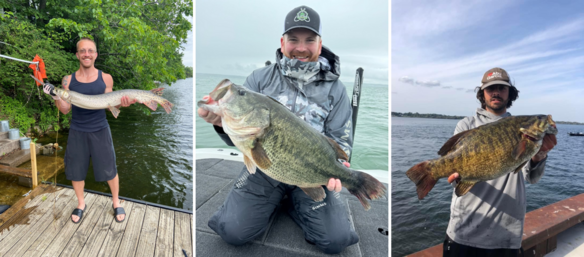 Three individual pictures with an angler holding their record-breaking fish catches