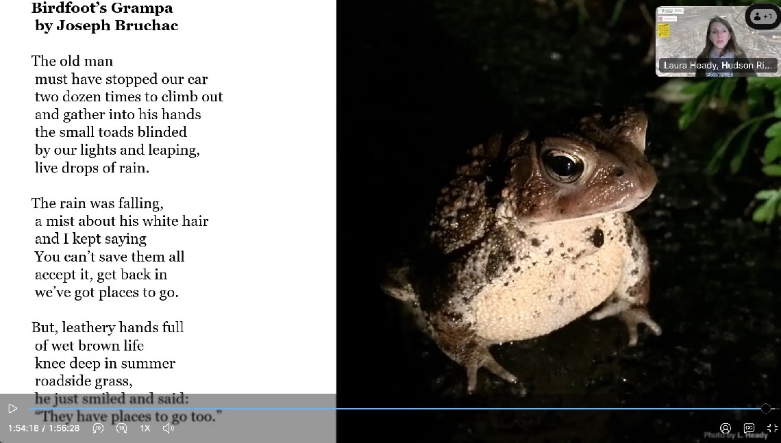 Screenshot of virtual volunteer training slide with photo of American toad and poem by Joseph Bruchac