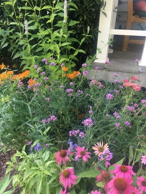 Pollinator Garden of a Long Island Garden Rewards Past Participant