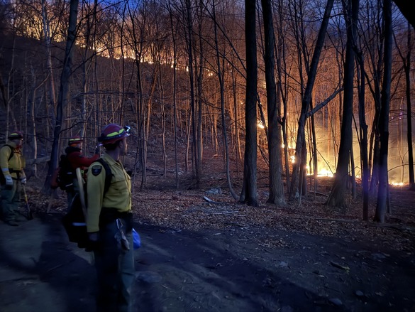 Forest Rangers looking towards burning trees.