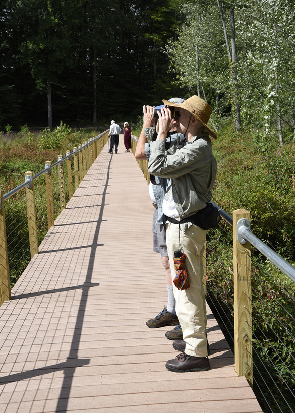 People birding on bridge with binoculars sunny day