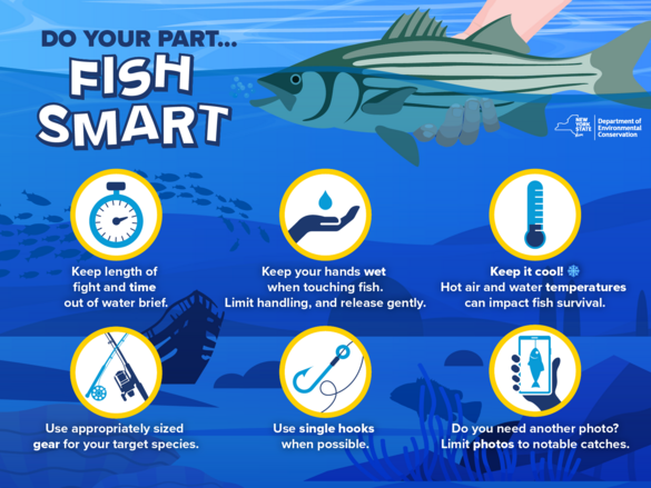Graphic showing best practices tips for handling fish