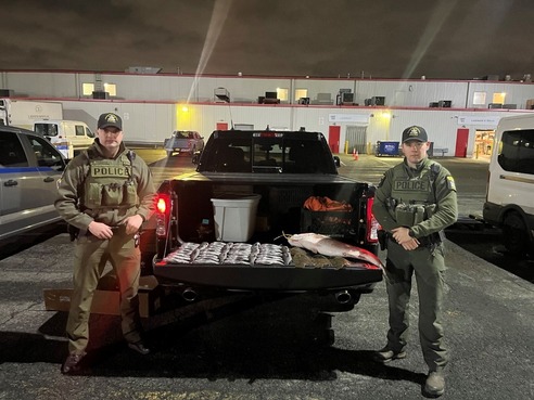 ECOs with undersized fish confiscated during fish market patrol in Bronx County