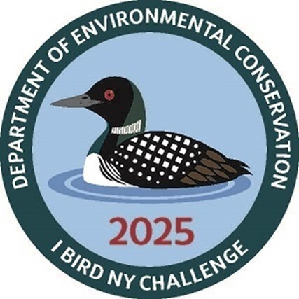 2025 I BIRD NY Challenge logo