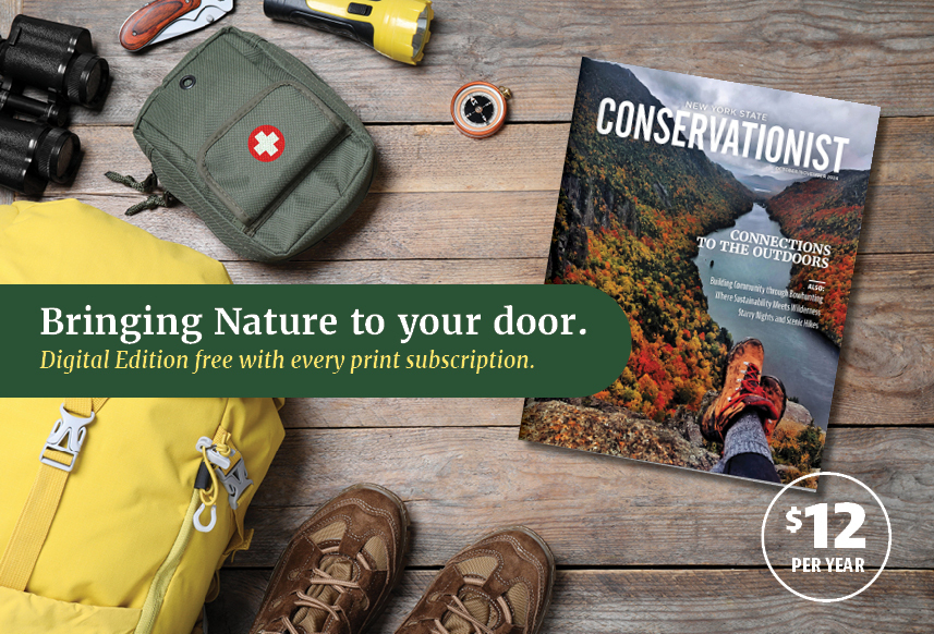 Conservationist ad graphic