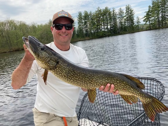 Angler with northern pike