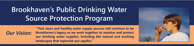 Brookhaven implementation deliverable