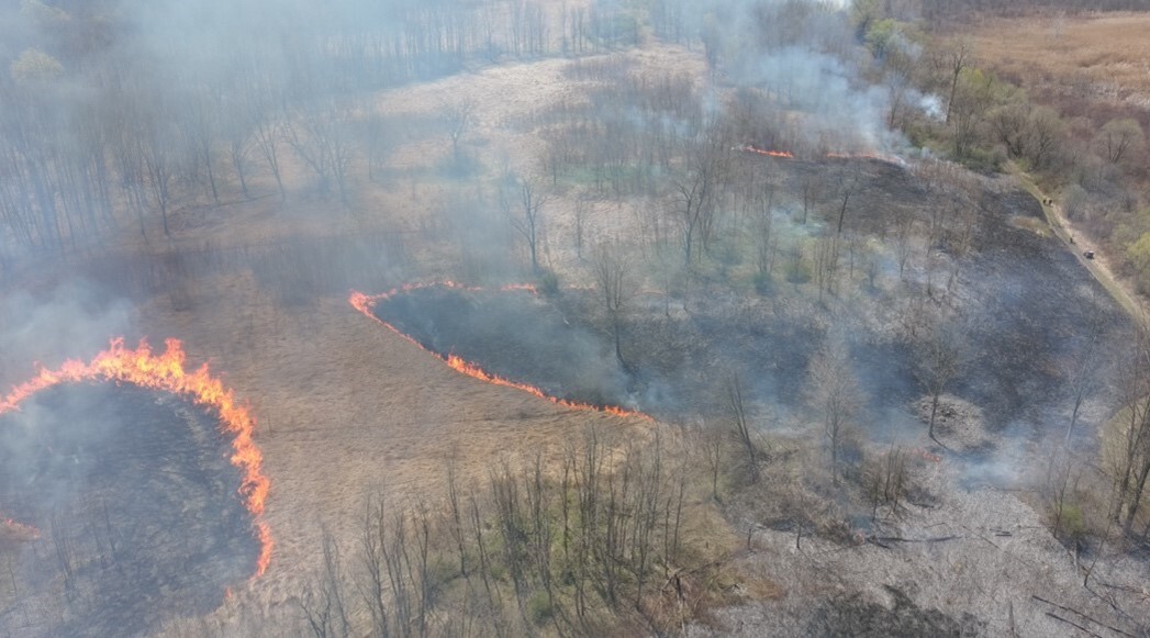 Rush Oak Openings prescribed burn (Monroe County)