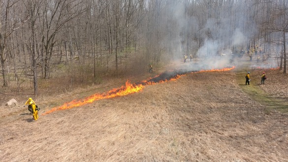 Rush Oak Openings prescribed burn (Monroe County)