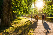 People walking along a tree lined lane in a park