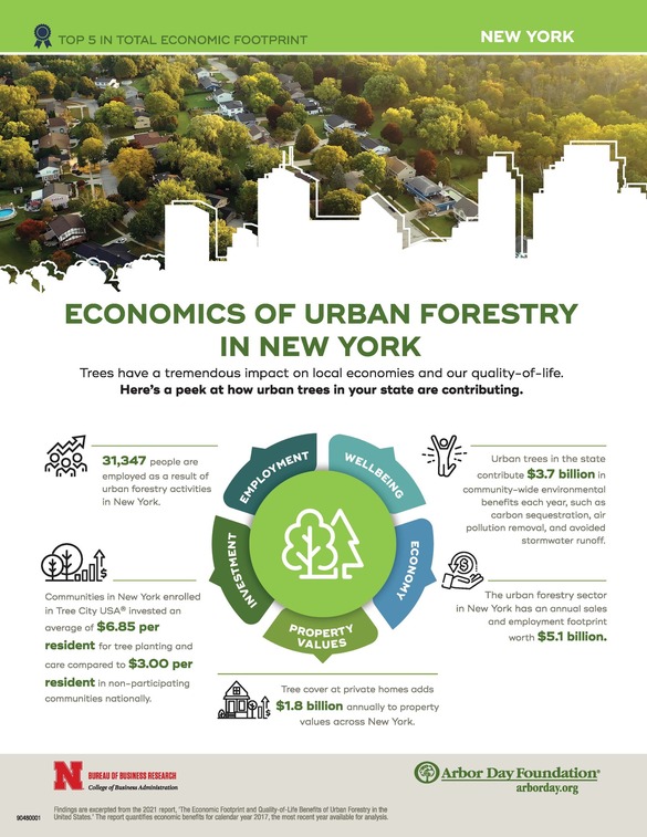Economic Impact of Urban and Community Forestry in New York State