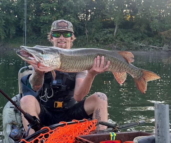 Angler holding up a tiger musky on a boat 