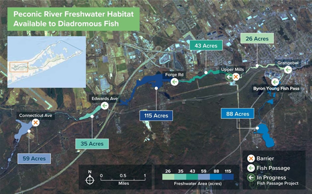 Graphic of PEP Fish Passage Projects
