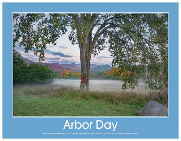 2025 Arbor Day poster