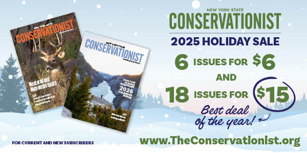 Conservationist holiday sale graphic