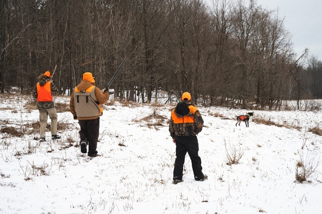 Group of pheasant hunters and a dog walking in the snow