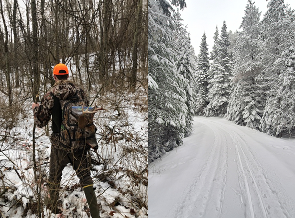 Hunter walking out of woods with deer parts and image of ski tracks in the snow