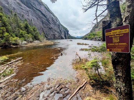 Brook Trout Sign posted on Tree with Adirondack Pond and Mountains in background