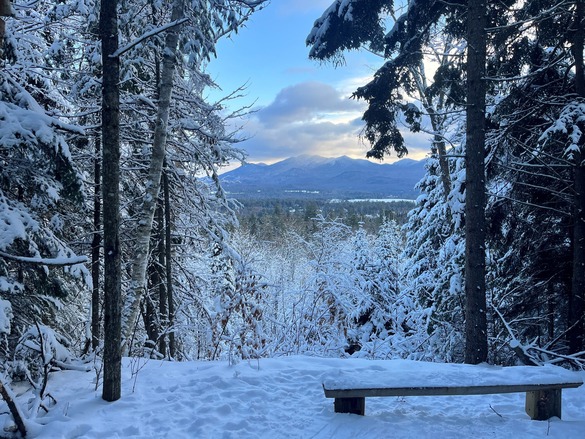 View from Henry's Woods on a winter day