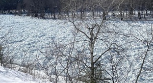 The Ice Meadows