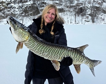 Tiger muskellunge