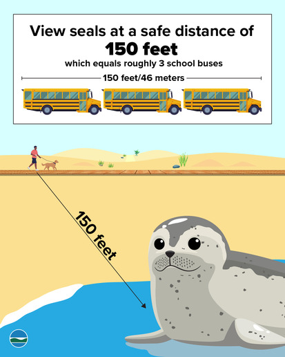 Seal Safe Distance Graphic