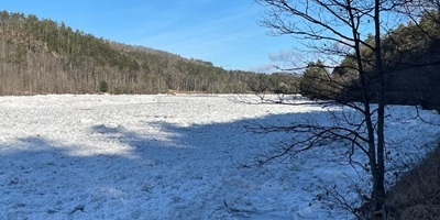 The Ice Meadows