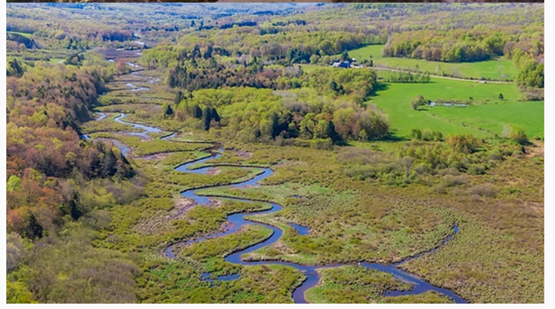 Six days after flooding event.