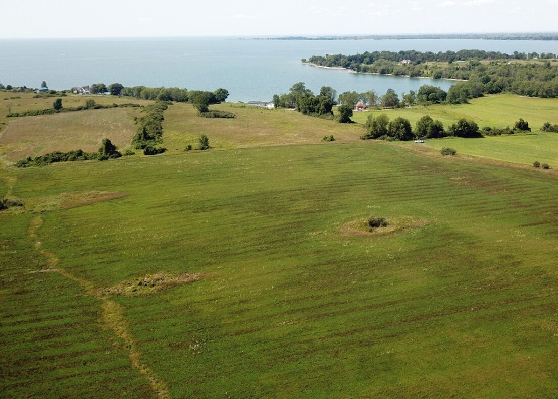 Schmeer property after reseeding from ag land to native grassland.