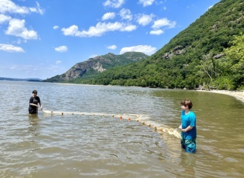Seining