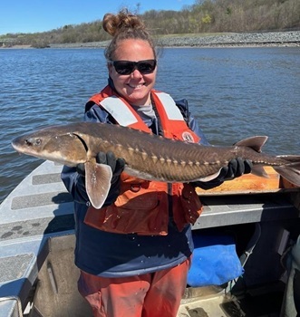 Shortnose sturgeon