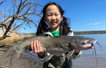 Channel Catfish