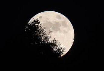 Strawberry Moon