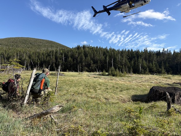 Gray Peak rescue