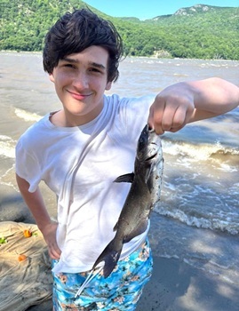 Channel catfish