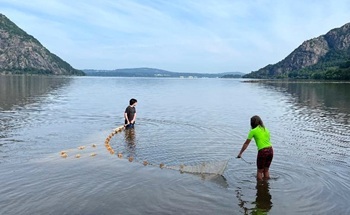 Seining