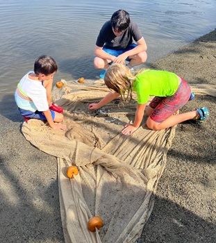 Counting the fish