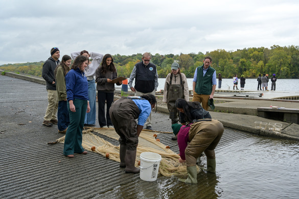 Participants at the 2025 DEC A Day in the Life at the Albany Corning Preserve