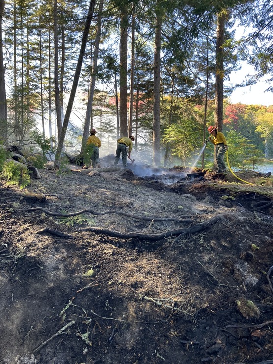 Three Forest Rangers spray water on charred forest ground.