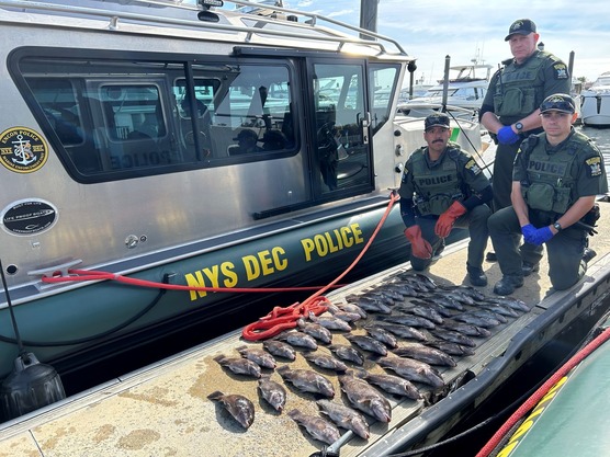 three ECOs kneel next to fish on a dock