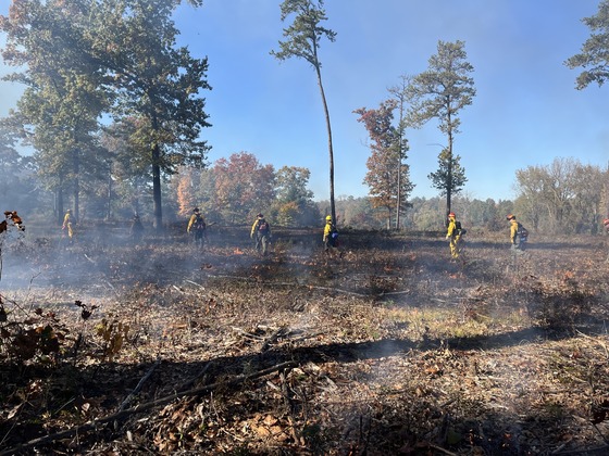 Big Ben Preserve prescribed burn