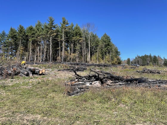 Sharon Springs fire