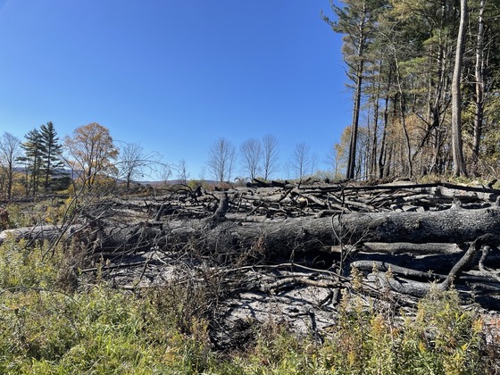 Sharon Springs fire
