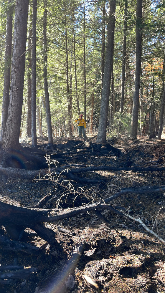 fire in Tupper Lake