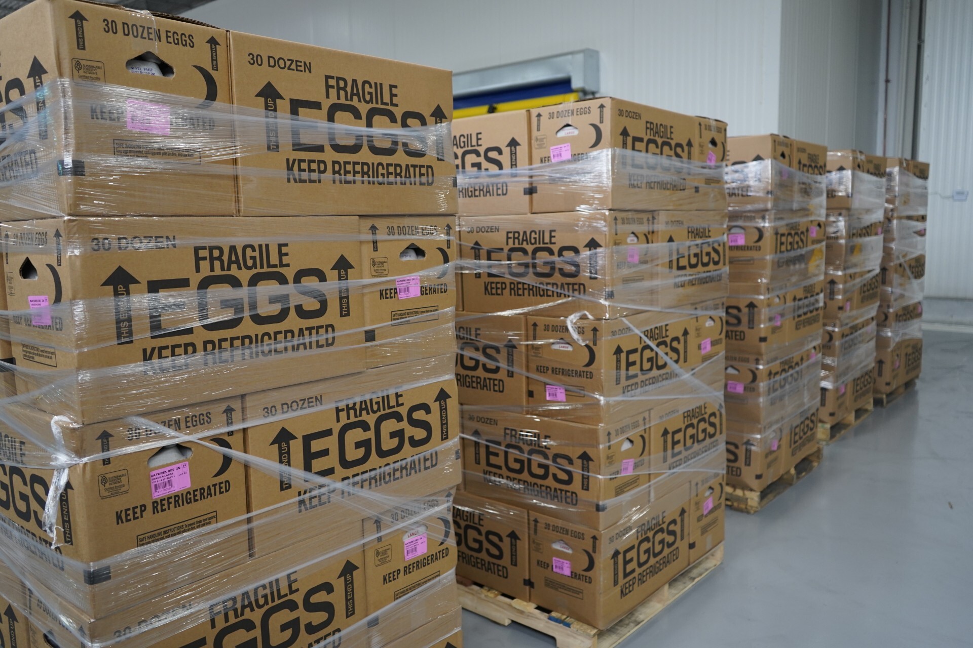 More than 140,000 eggs delivered to Feeding Westchester that will be distributed throughout Westchester