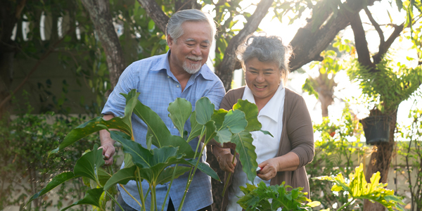 couple working in garden with house in background