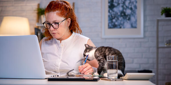 woman getting documentation ready to file her return, while a cat sits on her desk and bites her pen