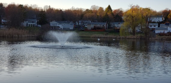 Dutchess Park Lake