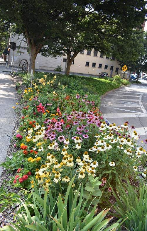 flowers planted in an urban setting