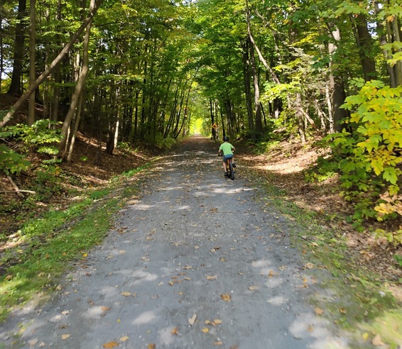 stone dust trail with child in a green shirt on a bicycle riding into dense forest with green leaves